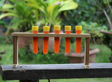 honduras/yoro-region/bar/el-manguito