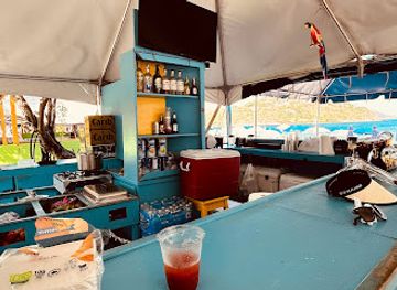 british-virgin-islands/beef-island/bar/moose-on-the-beach
