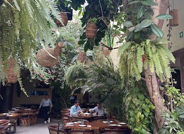 mexico/san-miguel-de-allende/bar/bar-33-sma