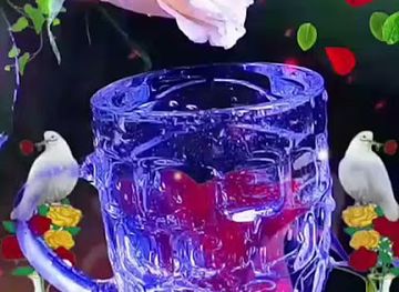 india/ahmedabad/bar/chetan