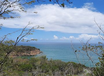puerto-rico/guanica-dry-forest-reserve/bar/bosque-seco-de-guanica