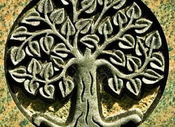 costa-rica/tortuguero-national-park/bar/tortuguero-nature-native-guides