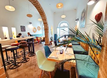 morocco/chiadma/bar/butterfly-space