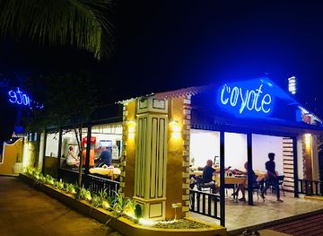 india/goa/candolim/bar/coyote-bar-restaurant
