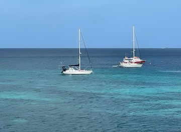 saint-vincent-and-the-grenadines/saint-patrick/bar/lion-s-den