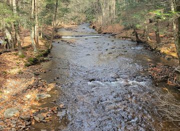 pennsylvania/ricketts-glen-state-park/bar/trail-s-end