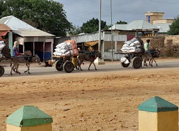 somalia/bay/bar/zeytuun-bar-and-restaurant-baidoa