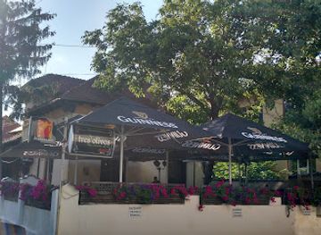 romania/prahova-valley/bar/tres-olivos