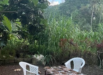 comoros/bambao-mtrouni/bar/les-jardins-de-tsantsani