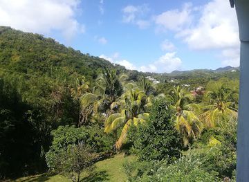 grenada/saint-david/bar/the-basement