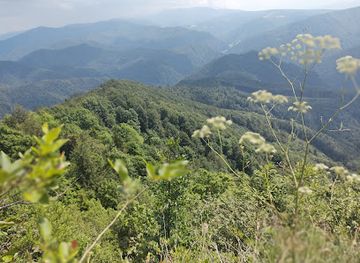 slovakia/velka-fatra-national-park/bar/pohostinstvo-nizna