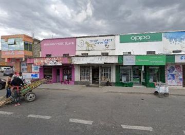 kenya/lake-naivasha/bar/zebra-bar