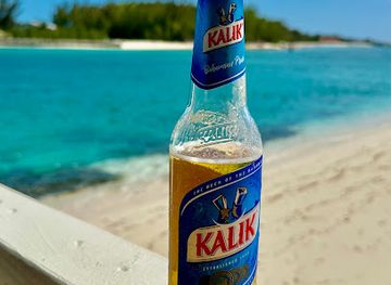 the-bahamas/bimini/bar/koko-plums