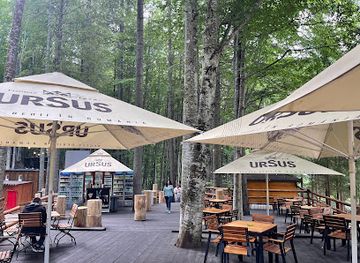 romania/transfagarasan-highway/bar/transfagarasan-treehouse-village