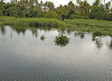 angola/bie-plateau/bar/eve-spot