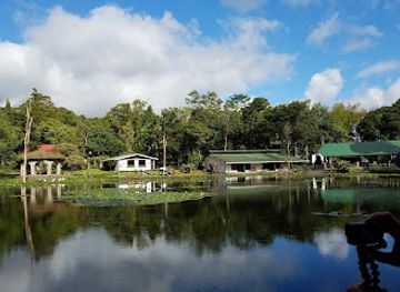 nicaragua/selva-negra-coffee-estate/bar/selva-negra