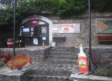 hungary/bodrogkoz/bar/taverna-halsuto-es-borozo