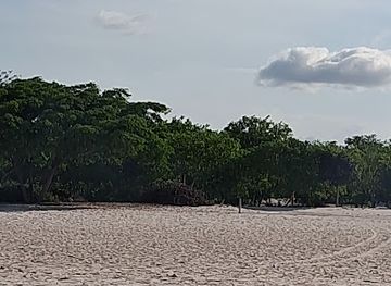 brazil/lencois-maranhenses-national-park/bar/coqueiro-bar