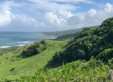 barbados/saint-andrew/bar/the-bay-lounge