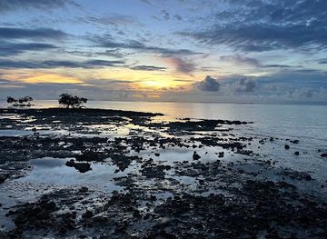 solomon-islands/taro-island/bar/taro-island