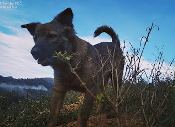 myanmar-burma/rakhine-yoma/bar/chin-hills