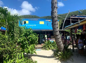 british-virgin-islands/guana-island/bar/foxy-s-jost-van-dyke-british-virgin-islands