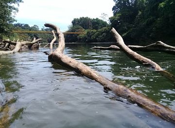 costa-rica/sarapiqui/bar/bar-arenas