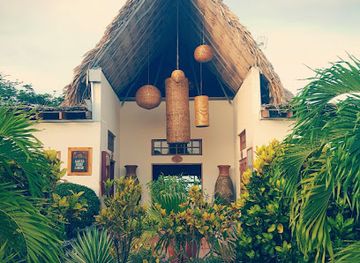 belize/hopkins/bar/ricos-bar-belize