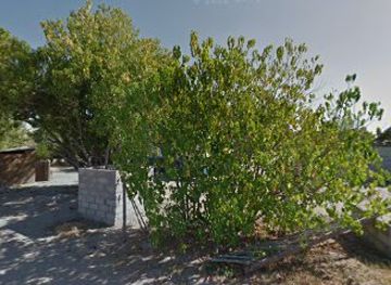 botswana/okavango-delta/bar/ponny-bar