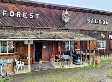 idaho/snake-river-canyon/bar/forest-bar