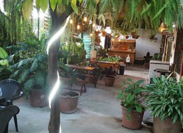 ecuador/sucumbios-region/bar/el-bamboo