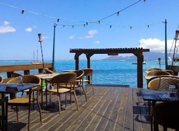 french-polynesia/tuamotu-archipelago/bar/blue-banana