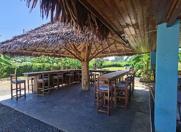 madagascar/nosy-be/bar/trojy