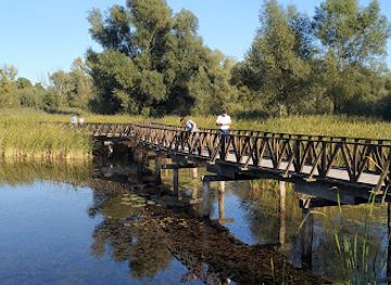 croatia/kopacki-rit-nature-park/bar/cafe-bar-lopoc