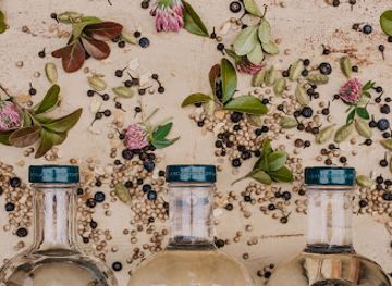 canada/cariboo/bar/distillerie-wabasso