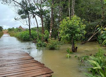 colombia/vichada-department/bar/tarotaro
