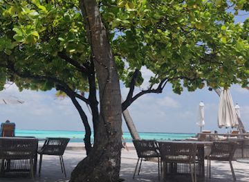 maldives/meemu-atoll/bar/kuredi-bar