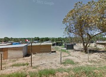 peru/tambopata-national-reserve/bar/el-elixir-del-brujo