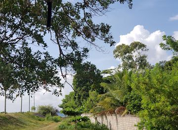 honduras/pico-bonito-national-park/bar/dee-jay-bar