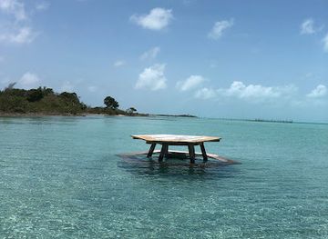 belize/mountain-pine-ridge/bar/blue-bayou