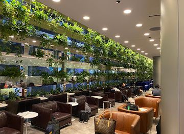 qatar/al-thakira-mangroves/bar/al-maha-lounge