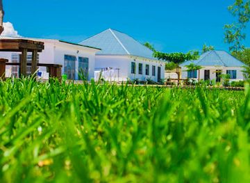 malawi/lake-malawi/bar/kaliba-beach-resort