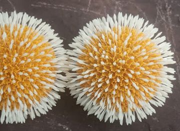 india/vindhya-range/bar/rohit-aadiwasi