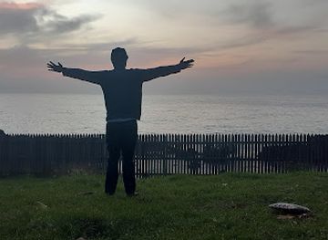 papua-new-guinea/madang/bar/diwai-restaurant-catering-service