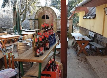 hungary/pilis-mountains/bar/muflon-itato