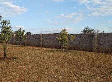 zambia/muchinga-province/bar/liberty-cafe