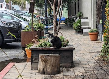 california/muir-woods-national-monument/bar/subway