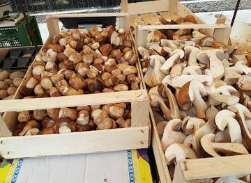 austria/vienna/favoriten/bar/lilly-s-weinstube