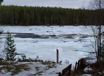 norway/trysil/bar/langflons-granskrog-hb