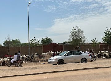 chad/hadjer-lamis/bar/diguel